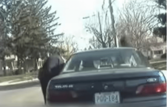 “Oops, Flirting with Fines: When Wit Meets the Ticket&nbsp;Book!”