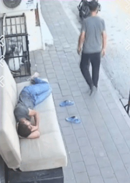 Urban Sofa Drama: Almost Roadkill and Angry&nbsp;Wake-Up
