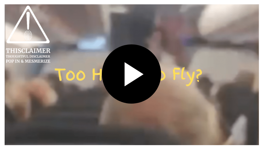 Video of view from the back of the plane showing passengers' heads and an EasyJet pilot giving a speech on the microphone