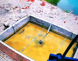 Fish jumping from a farm pond pool and moving toward the riverbank.