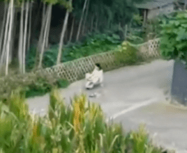 Scooter ride gone wrong: From snow to&nbsp;mud!