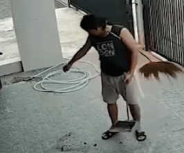 You Won’t Believe Where He Left His&nbsp;Brush!