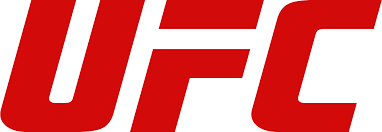 A UFC banner featuring the organization's logo and a fighter in action.