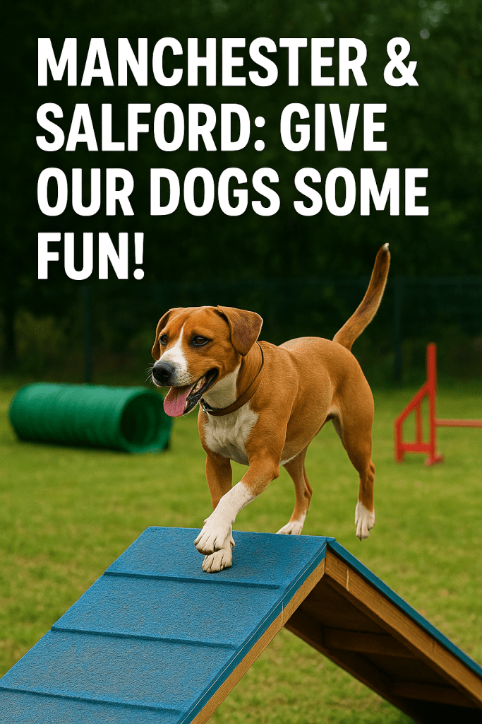 Dog Training in Manchester's Sunny Urban Park
