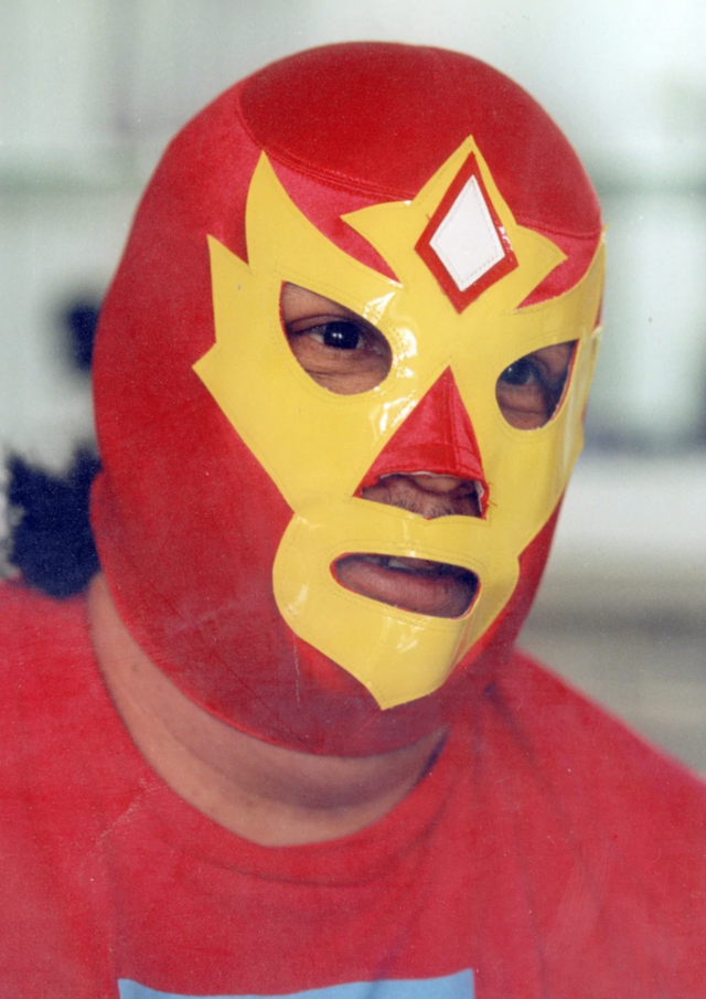 A man wearing a red luchador mask and red costume raises his fist during a public demonstration in Mexico City.