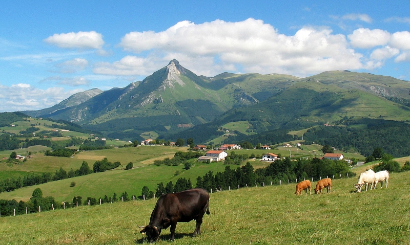 The Basque 100 Mountains Challenge: A Century-Old Test of Endurance
