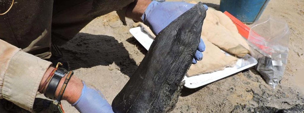 The 476,000-Year-Old Wooden Structure That Proves Ancient Humans Were Building&nbsp;Things