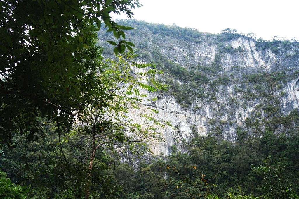 Aerial view of a massive limestone tiankeng surrounded by dense green vegetation in Leye, Guangxi, China.