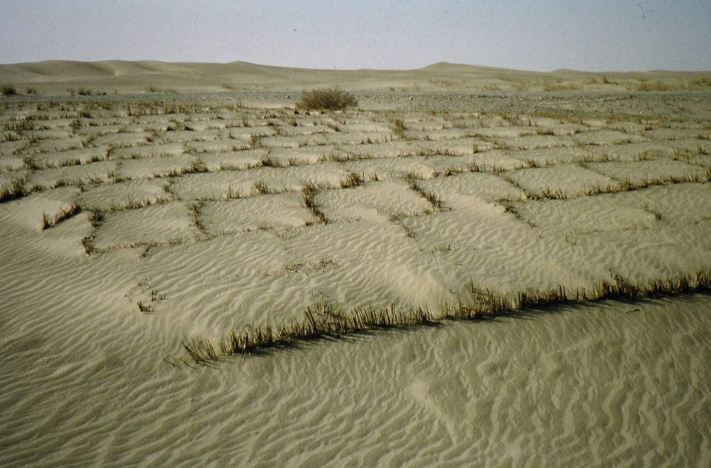 Straw checkerboard barriers laid across sandy terrain in China to reduce wind erosion and stabilise shifting sand.